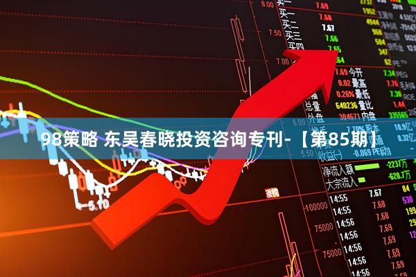 98策略 东吴春晓投资咨询专刊-【第85期】