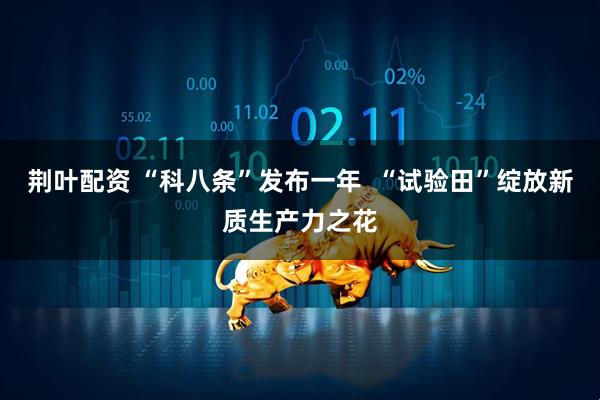 荆叶配资 “科八条”发布一年  “试验田”绽放新质生产力之花