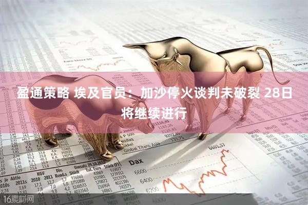 盈通策略 埃及官员：加沙停火谈判未破裂 28日将继续进行
