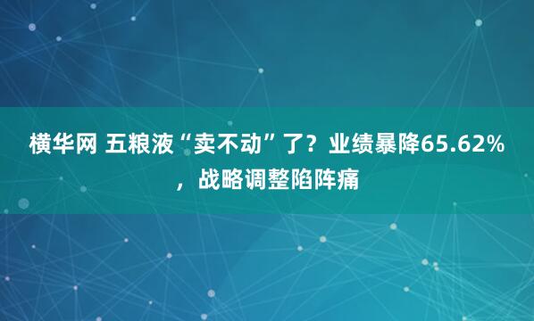 横华网 五粮液“卖不动”了？业绩暴降65.62%，战略调整陷阵痛