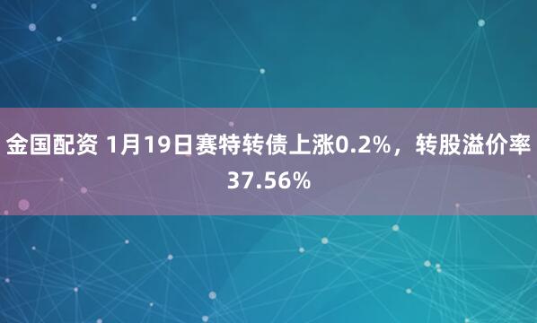 金国配资 1月19日赛特转债上涨0.2%，转股溢价率37.56%